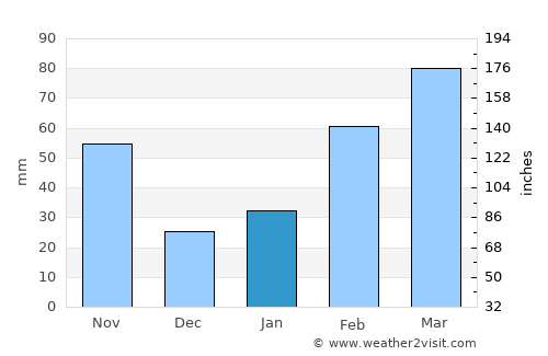 Reisui average rain in January