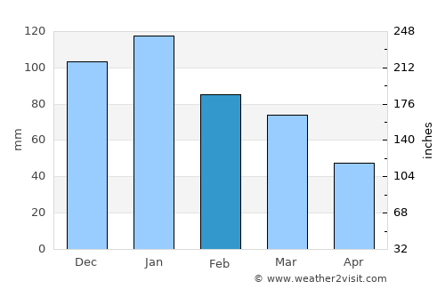 Reitz average rain in February