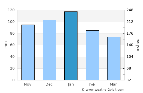 Reitz average rain in January
