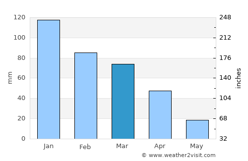 Reitz average rain in March