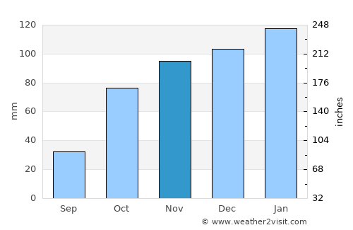 Reitz average rain in November