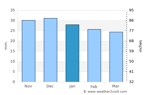 Rexburg average rain in January
