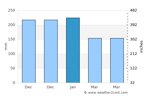 Ribas do Rio Pardo average rain in January