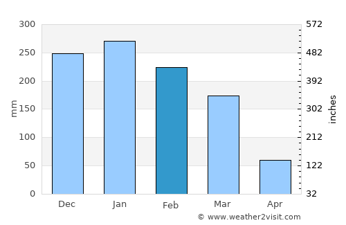 Ribeirão Preto average rain in February