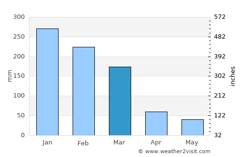 Ribeirão Preto average rain in March
