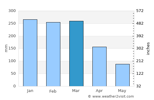 Riberalta average rain in March