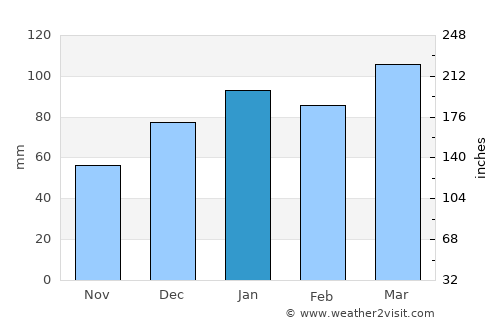 Ridgeland average rain in January