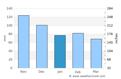 Rincón average rain in January