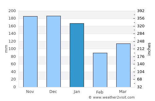 Rio Bananal average rain in January