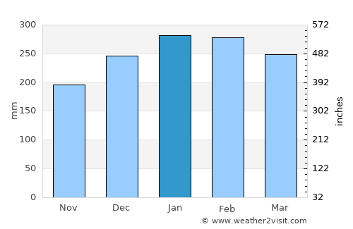 Rio Branco average rain in January