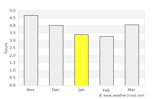 Rio Branco average rain in January