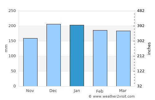 Rio de Janeiro average rain in January