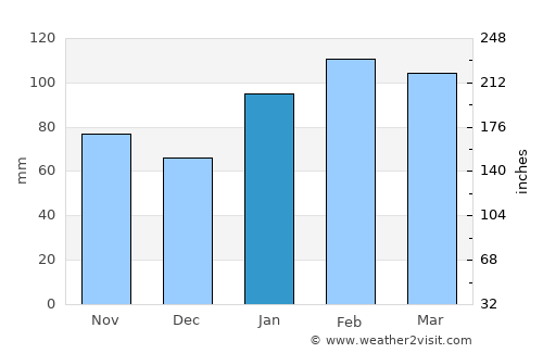Rio Grande average rain in January