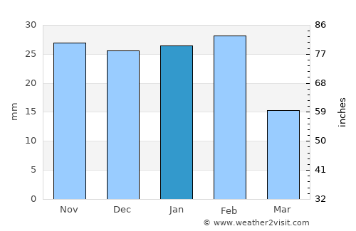Rio Grande City average rain in January