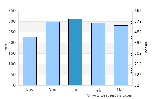 Rio Grande da Serra average rain in January