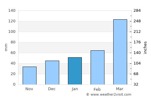 Rio Largo average rain in January