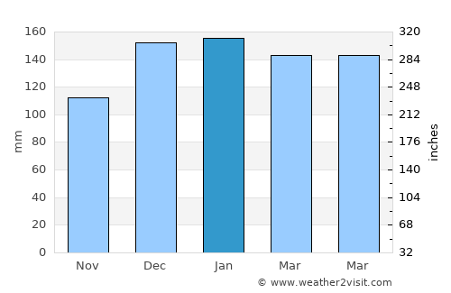 Rio Negro average rain in January
