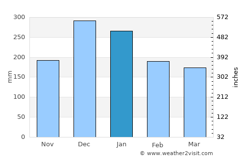 Rio Novo average rain in January