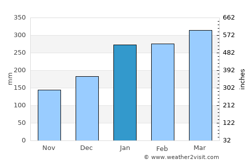 Rio Preto da Eva average rain in January