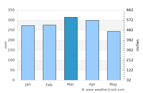 Rio Preto da Eva average rain in March