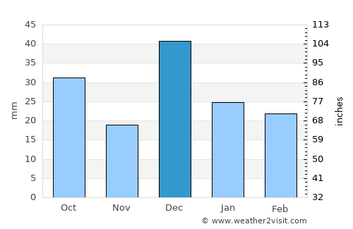 Rio Rico average rain in December
