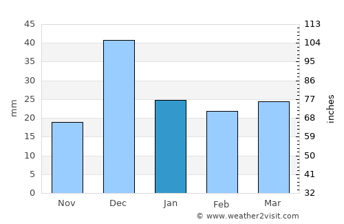 Rio Rico average rain in January
