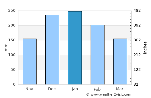 Rio Verde de Mato Grosso average rain in January