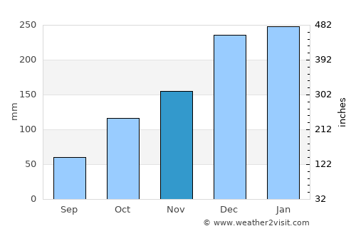 Rio Verde de Mato Grosso average rain in November