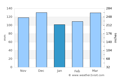 Ripley average rain in January