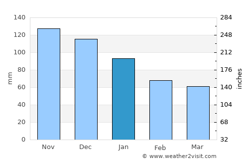 Rishiri Town average rain in January