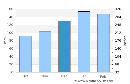 Riverview average rain in December