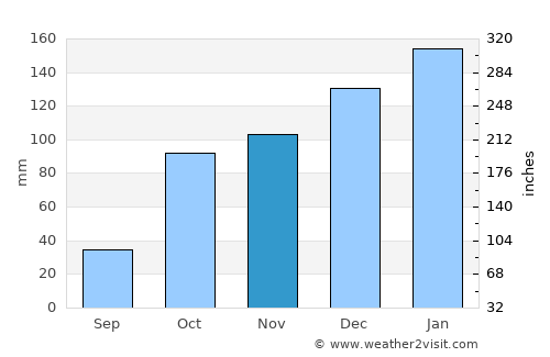 Riverview average rain in November