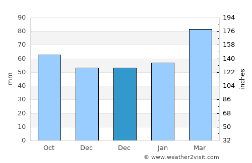 Riverview average rain in December