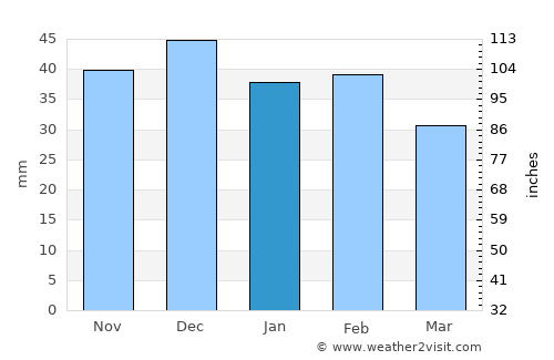 Rivne average rain in January