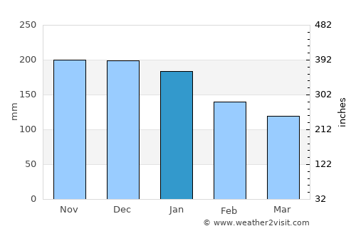 Rize average rain in January