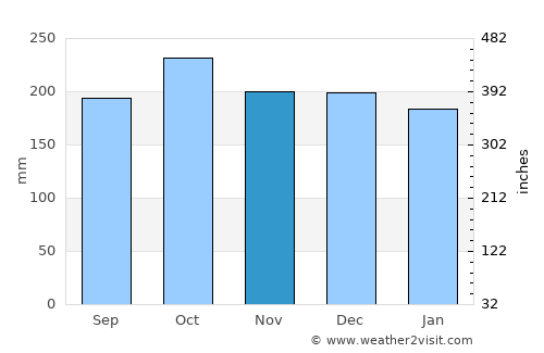 Rize average rain in November