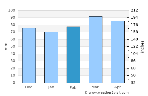 Roanoke average rain in February