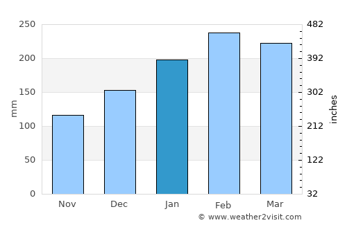 Robina average rain in January