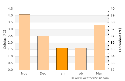 Rochester average temperature in January