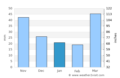 Rochester average rain in January