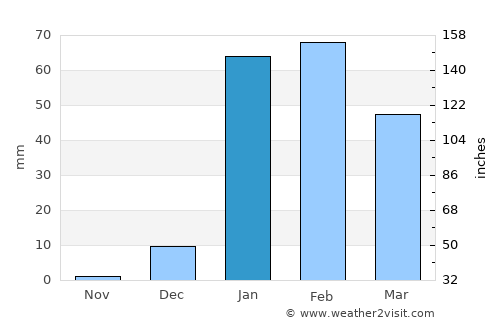 Roebourne average rain in January