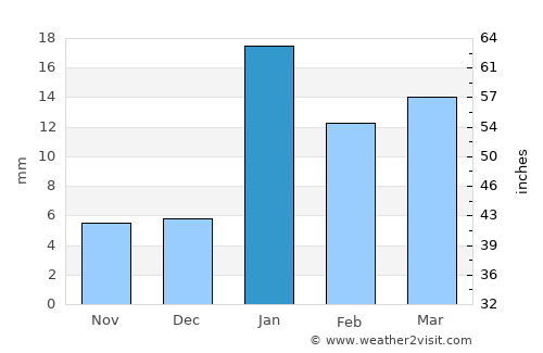 Rohtak average rain in January