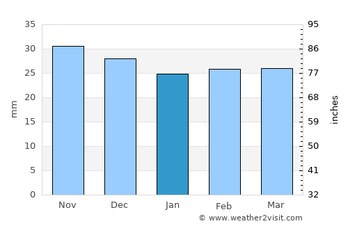 Roma average rain in January