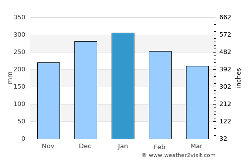 Rondonópolis average rain in January