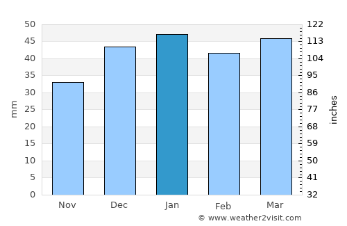 Rosarito average rain in January