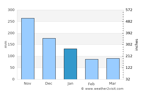 Roseau average rain in January