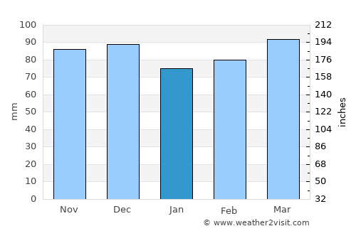 Rosebank average rain in January