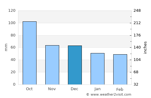 Roses average rain in December