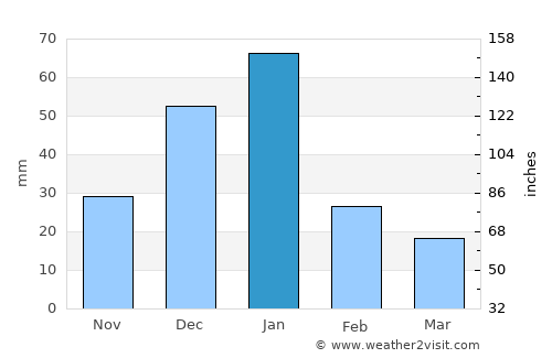 Rosetta average rain in January