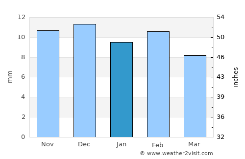 Roswell average rain in January